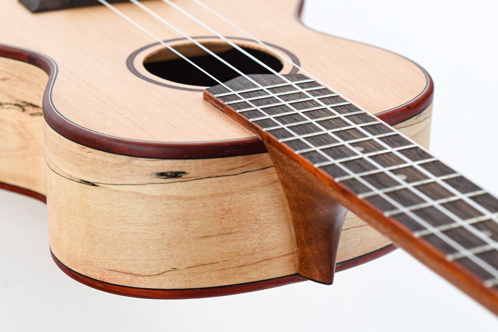 Cordoba 24T Tenor Spruce Ukuele | The Fellowship of Acoustics